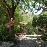 Yakamoz * Olympos