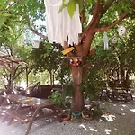 Yakamoz Olympos