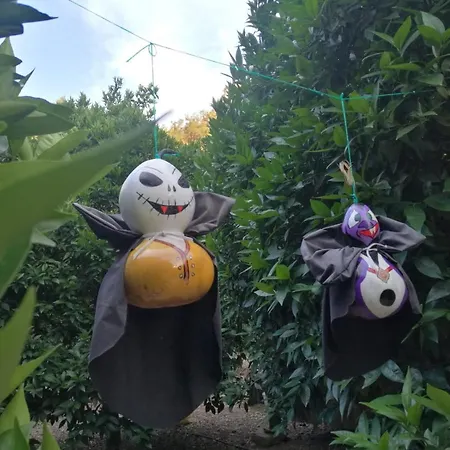 Yakamoz Village de vacances