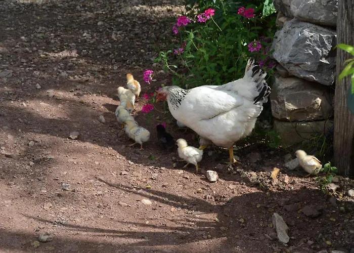 Yakamoz Πάρκο διακοπών