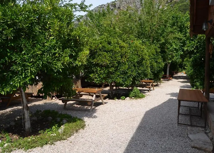 Yakamoz Όλυμπος