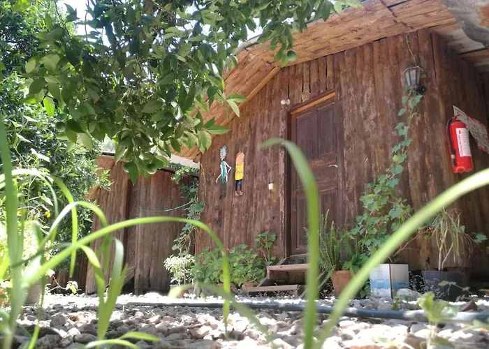 Yakamoz