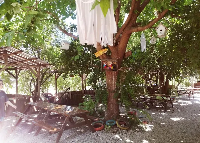 Yakamoz Όλυμπος