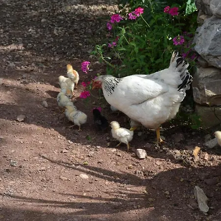 Yakamoz Tatil parkı