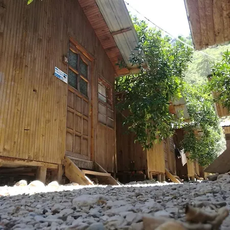 Yakamoz Olympos