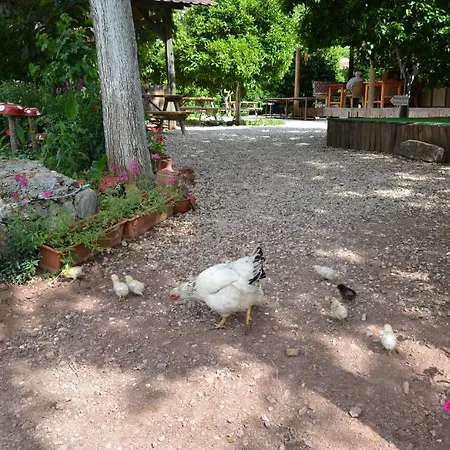 Yakamoz Holiday park Olympos