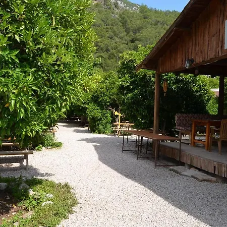 Yakamoz Holiday park Olympos
