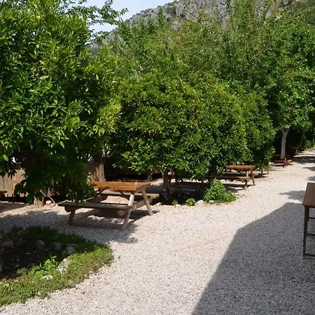 Yakamoz Olympos