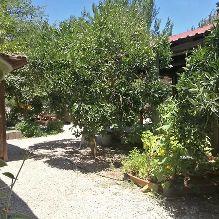 Yakamoz * Olympos