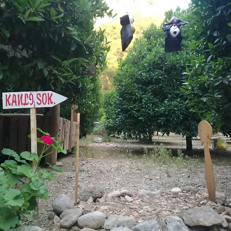 Holiday park Yakamoz Olympos