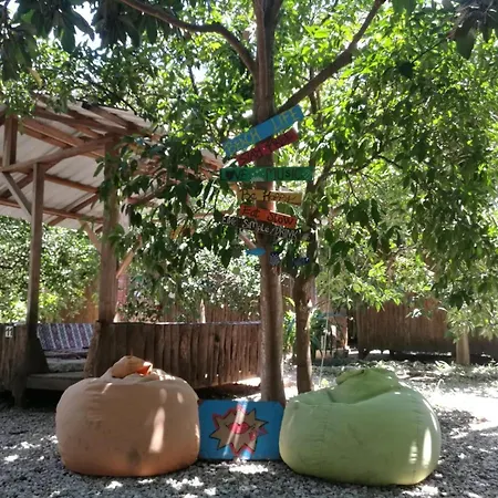 Yakamoz Olympos