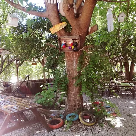 Holiday park Yakamoz Olympos