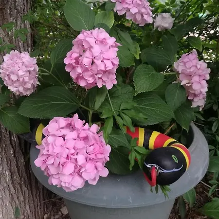 홀리데이파크 Yakamoz *