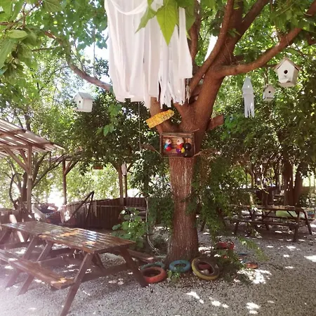 Yakamoz Olympos